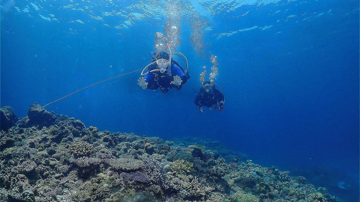 ボートへ向かって浮上していくダイバー2人